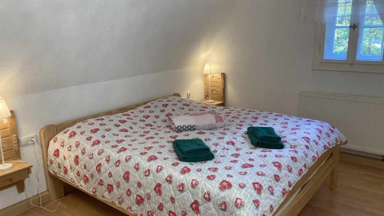 Pension Zur 23 Altenberg  Εξωτερικό φωτογραφία